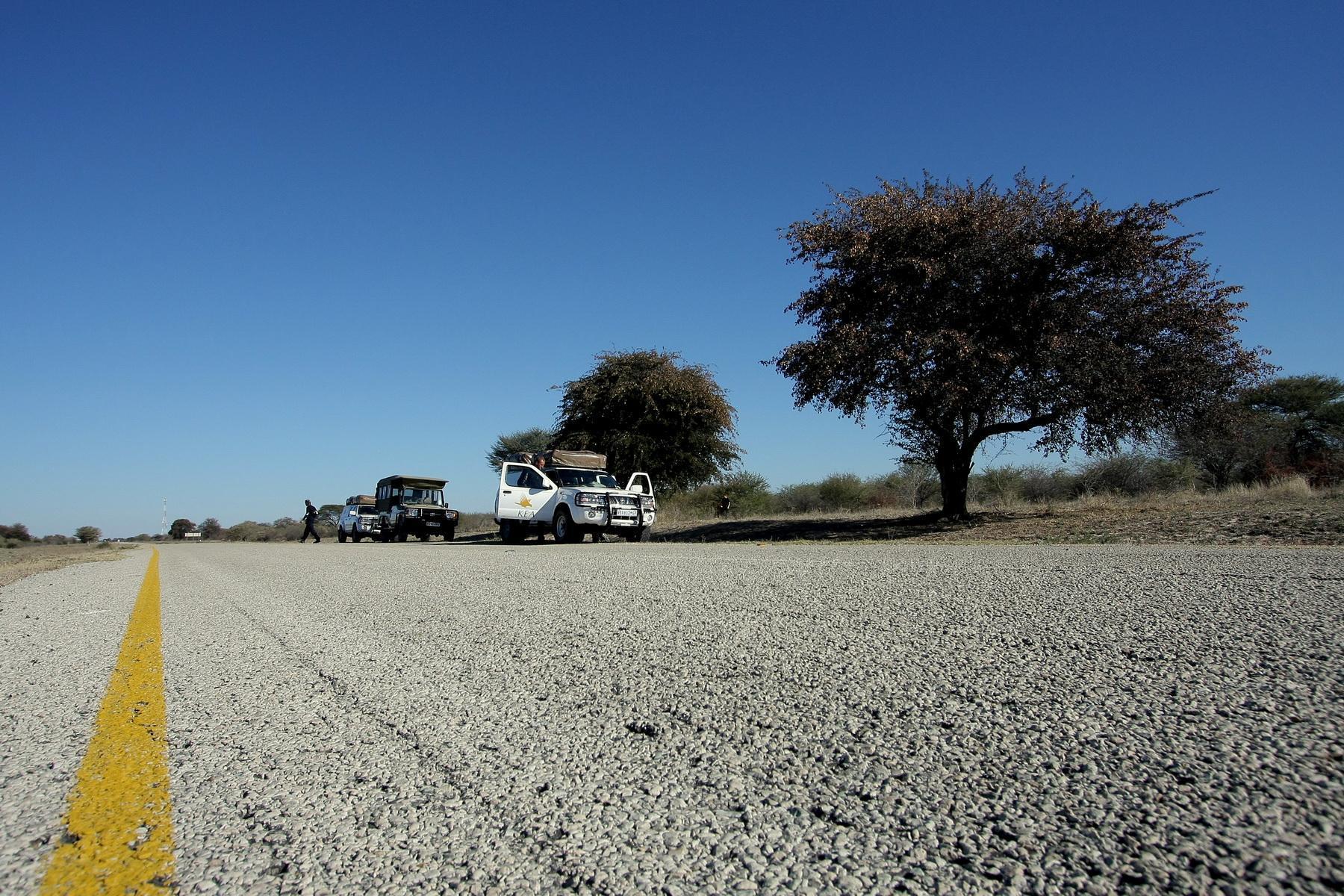 africa024