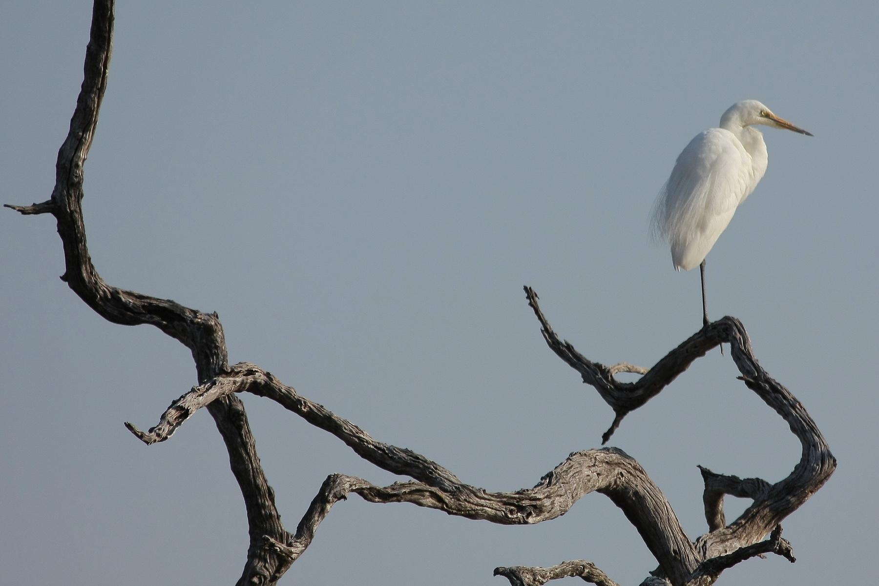 africa079