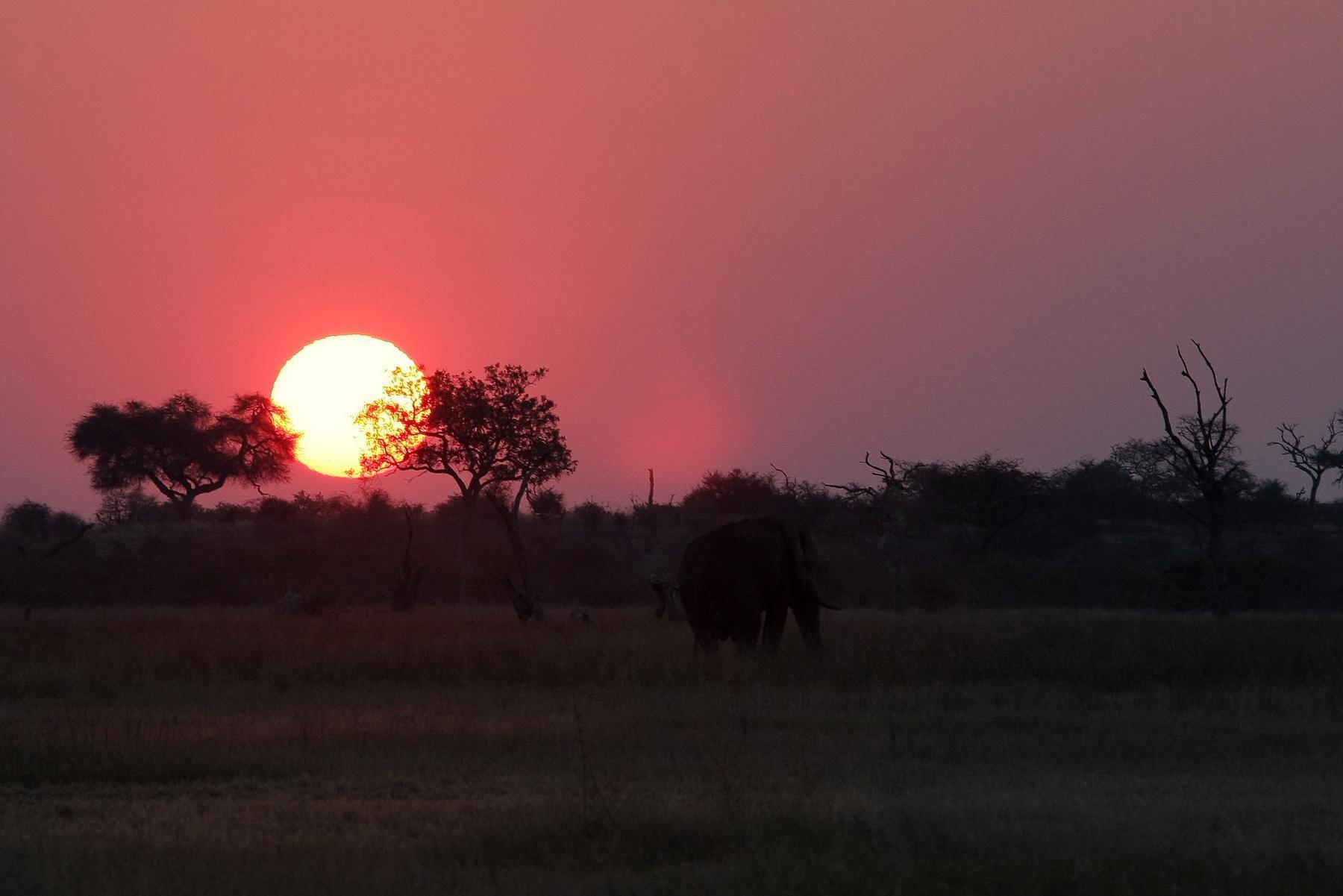 africa099