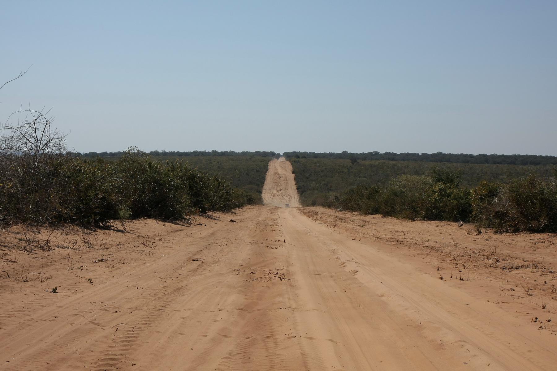 africa111