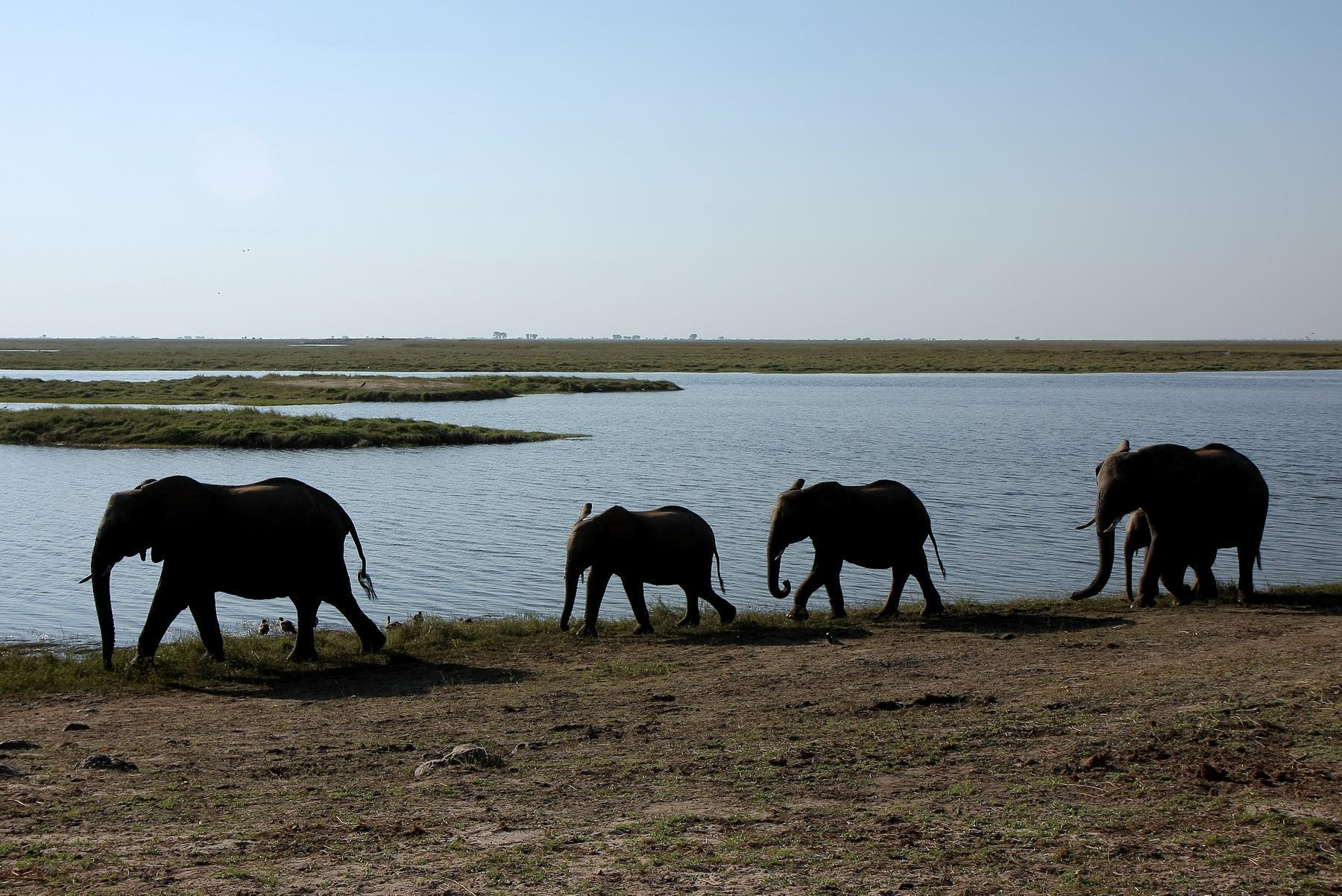 africa116
