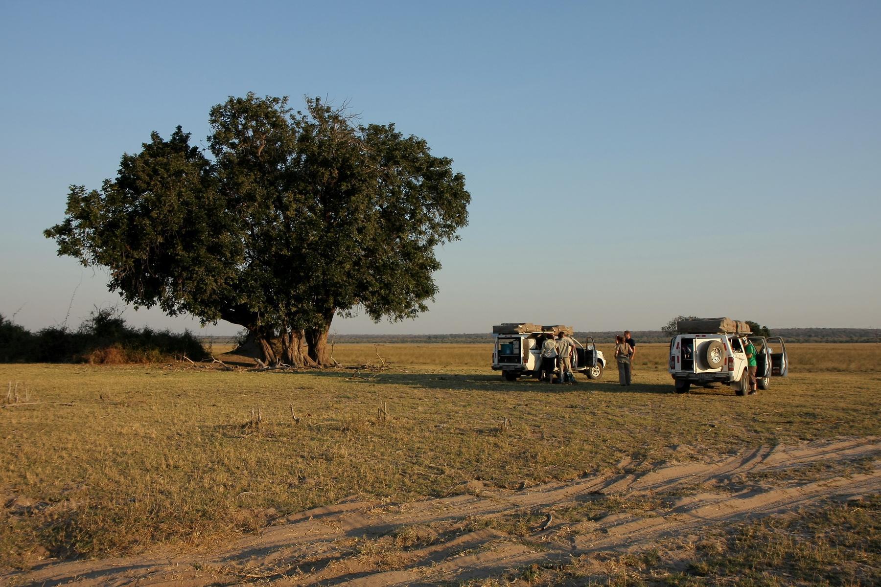 africa122