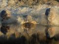 africa019