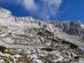 bavskigrintavec08