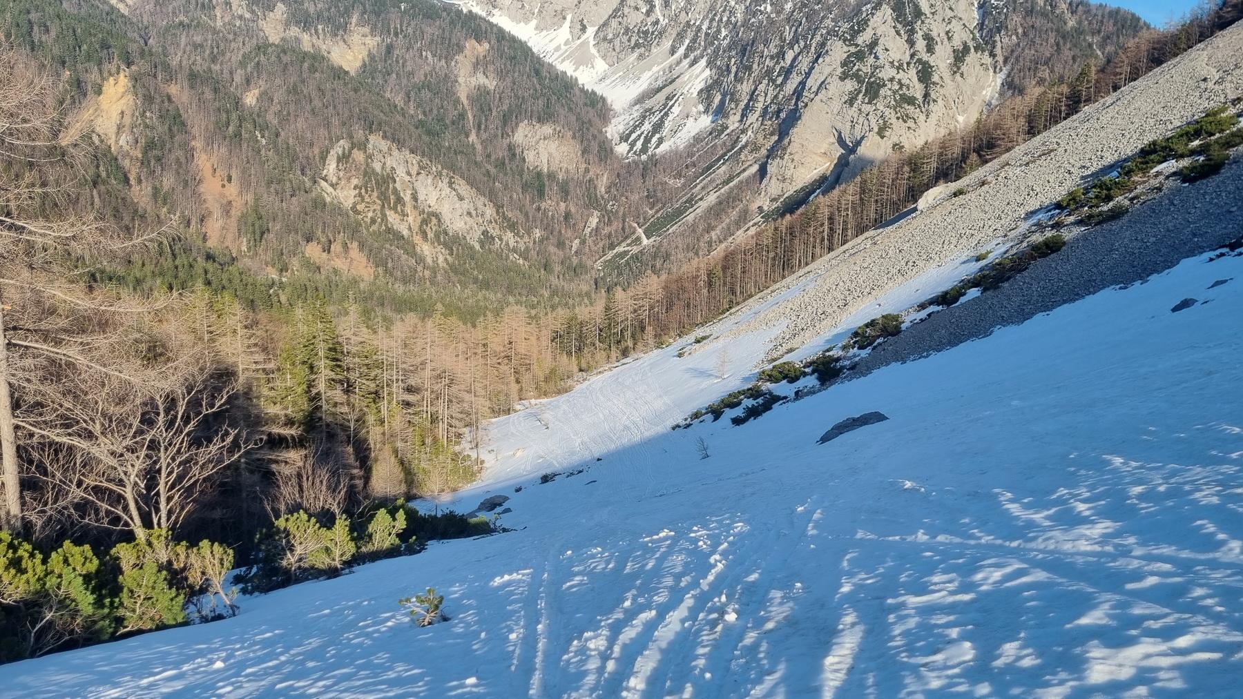 begunjscica30