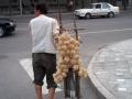 china_001