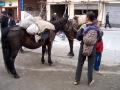 china_041