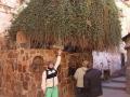 egypt28