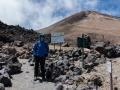 elteide08