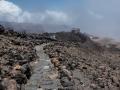 elteide10