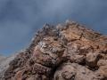 elteide14