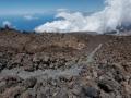 elteide19
