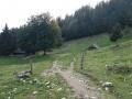DSC01606