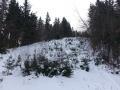 DSC01064_resize