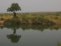 india0055