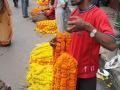 india0067