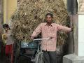 india0071