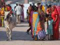 india0186