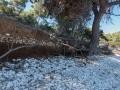 lastovo056