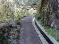 madeira048