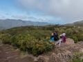 madeira066