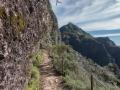 madeira082