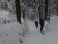 DSC07540