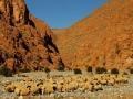 morocco_137