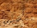 morocco_149