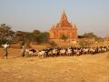 myanmar0043