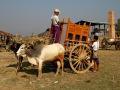 myanmar0115