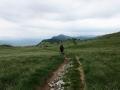DSC00253_resize.jpg