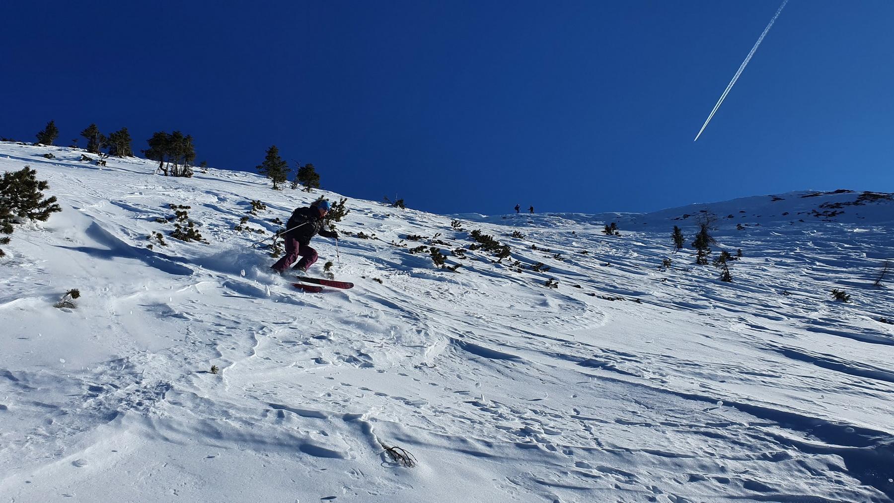 ojstrnik36