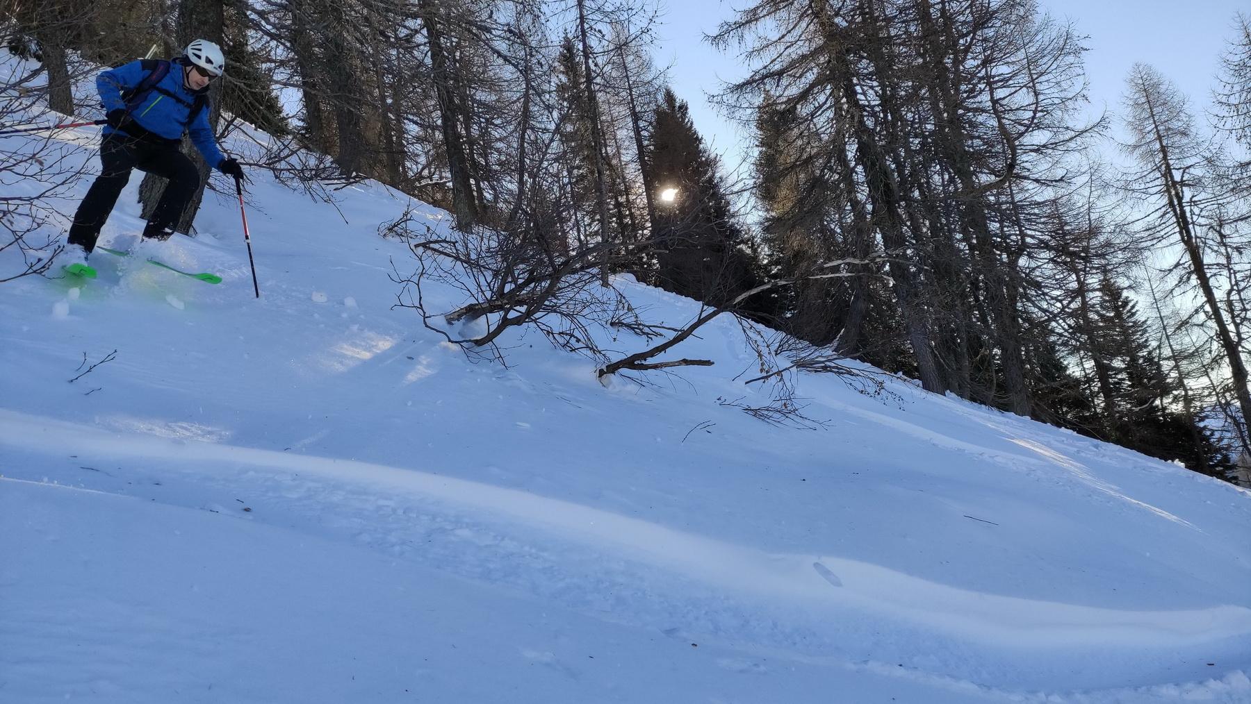 ojstrnik40
