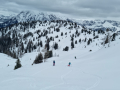 penkkopf17