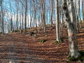 platak_ucka_06