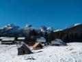 Pokljuka6_resize