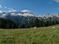 DSC01455_resize