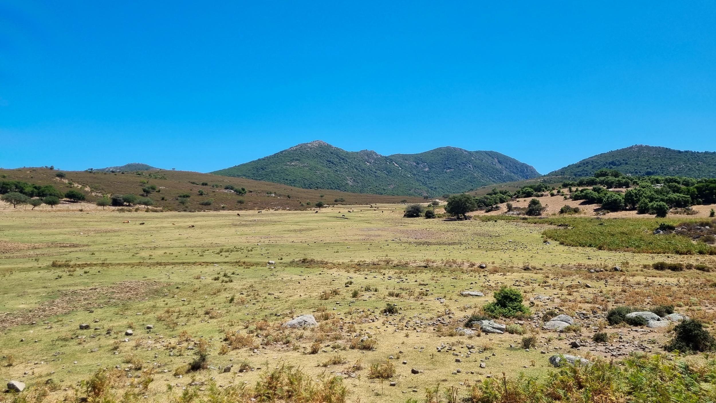 sardinia118
