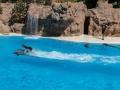 tenerife38