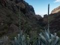tenerife44