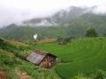 vietnam029