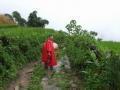 vietnam034