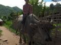 vietnam045