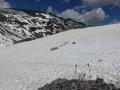 zgreseniankogel15